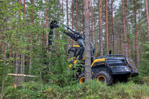 Metsäkone. Kuva: Kalle Kärhä.