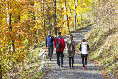 Neljä syksyisessä luonnossa patikoivaa nuorta.