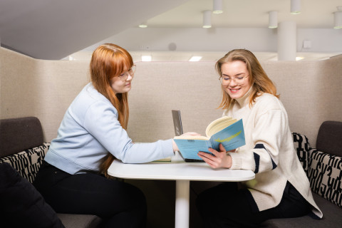 Two students studying