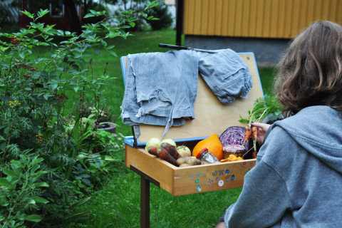 Person looking at vegetables and root vegetables.