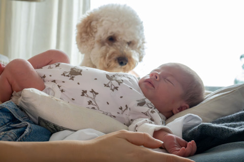 A dog and a baby.