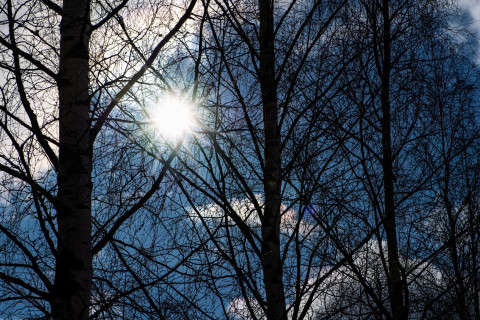 Aurinko.