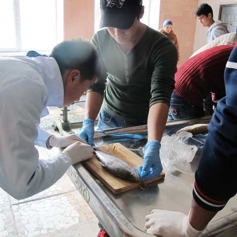 Photo of students measuring a fish.