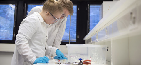 Students in laboratory.