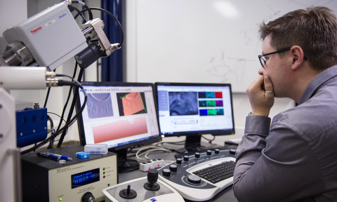 mies katsoo tietokonetta.