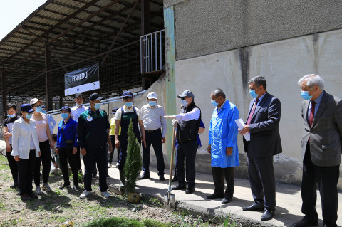People planting trees.
