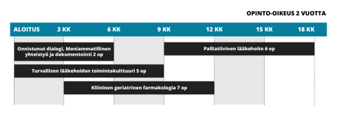 Geriatrisen lääkehoidon aikataulu.