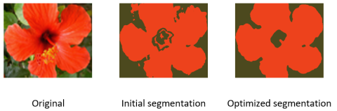Result of optimization of the Mumford-Shah model.