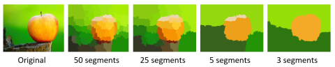 Segmentation showing different number of segments.