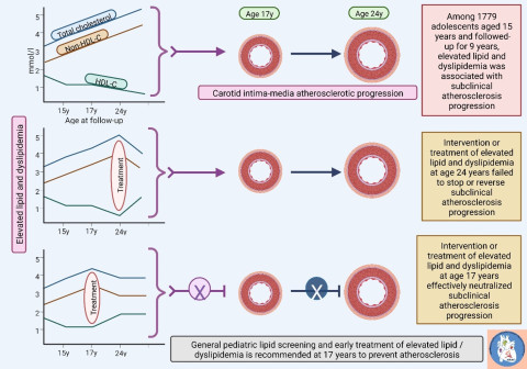 Over a 9-year follow-up period from adolescence to young adulthood, elevated lipid and dyslipidemia levels were associated with worsening subclinical atherosclerosis. Image: Andrew Agbaje.