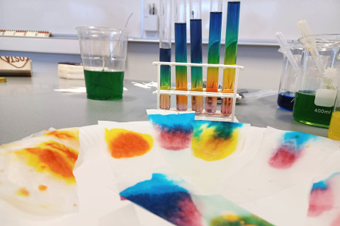 Värikästä nestettä koeputkissa.