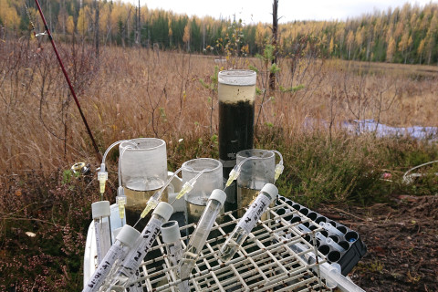 Näytteitä luonnossa.