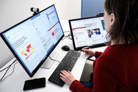 Person reading online articles.