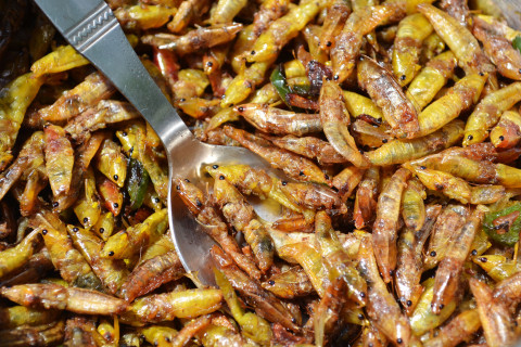 Paistettuja heinäsirkkoja ja lusikka.