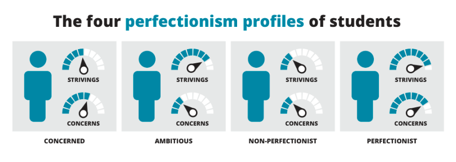 The four perfectionism profiles of students.