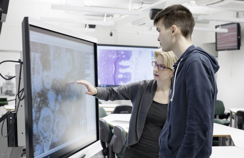 Mies ja nainen käyttää virtuaalinäyttöä.