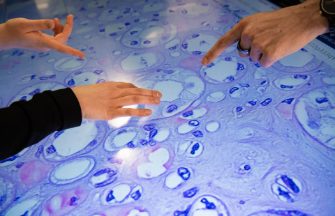 Kolme henkilöä käyttää multimedianäyttöä.