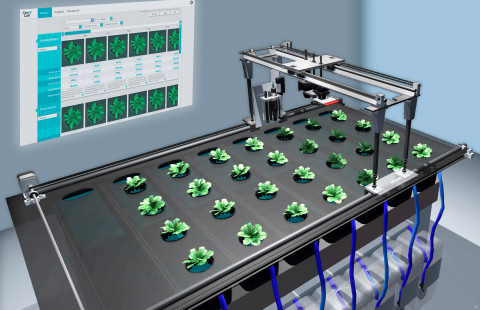 Photo of a plant laboratory setting.