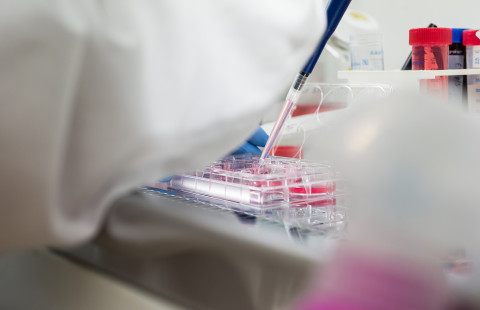 Yksityiskohta laboratoriosta