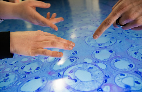 Digitaalinen kudosnäyte kosketusnäytöllä