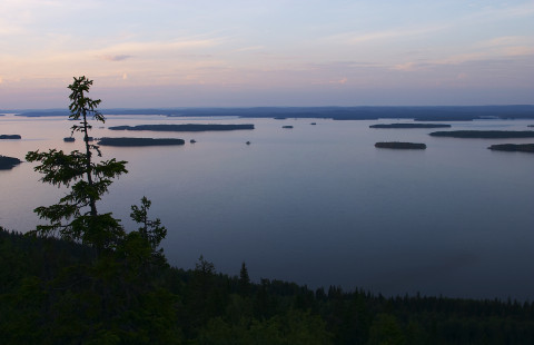 A view from the top of the Koli.