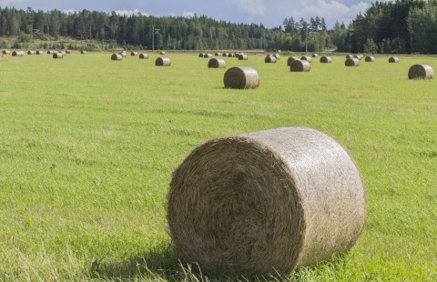 Pyöröpaaleja pellolla