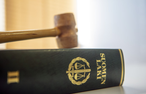 Puheenjohtajan nuija lakikirjan päällä