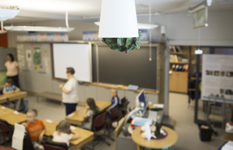 Oppilaat ympäristöoppitunnilla.