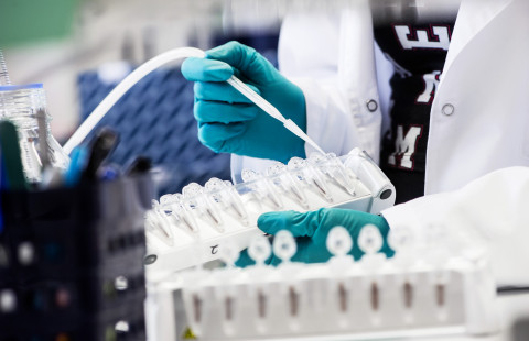 Research work in a laboratory.