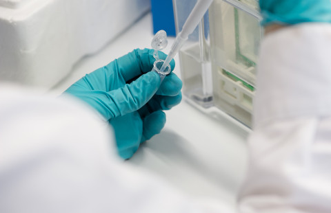 Pipetting in a laboratory