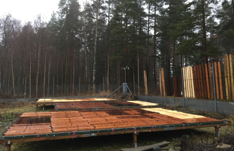 Lämpökäsitellyn puun tutkimusta