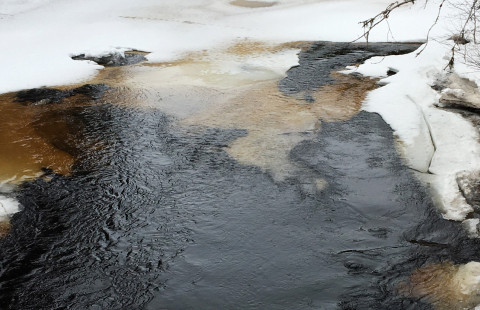 Sävarån keväällä.