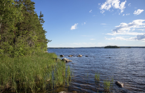 Järvimaisema Saimaalla