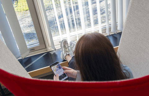 Istuva henkilö ikkunan ääressä selaamassa puhelinta.