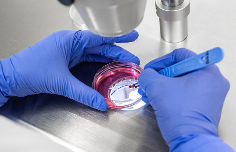 Laboratoriotyöskentelyä.