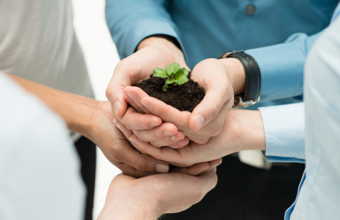 kuvituskuva: ryhmä ihmisiä pitelemässä yhdessä kasvin tainta kädessä