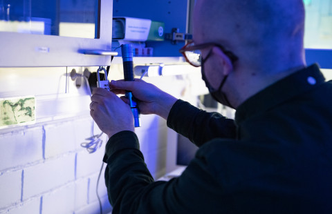 Pelaaja ratkoo tehtävää farmasauttisessa pakohuoneessa.