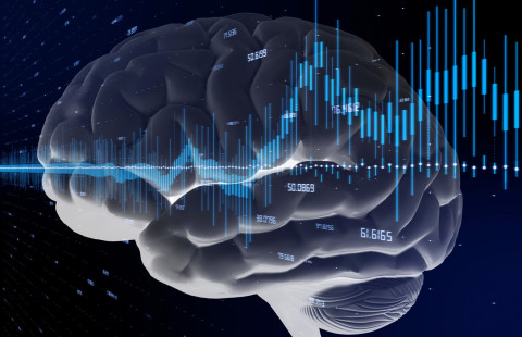 Brain and a diagram.