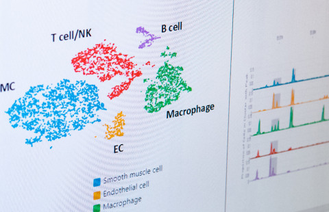 Test results on computer screen.