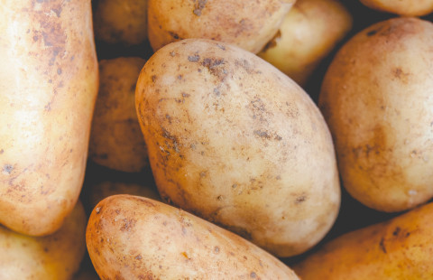 Perunat lähikuvassa.