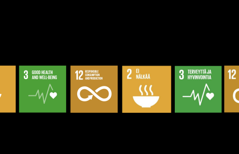 SDGs 2 and 3 and 12 as symbols.