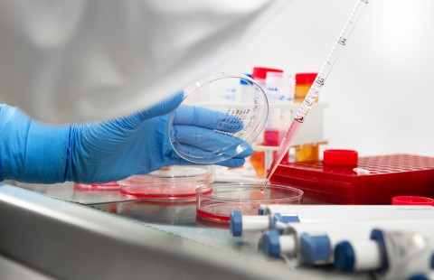 Kantasolulaboratorio