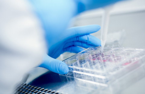 Laboratoriotyöskentelyä