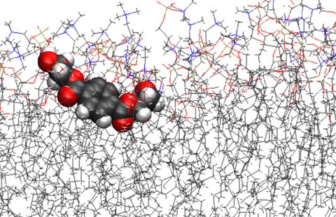 Molecular modeling image.