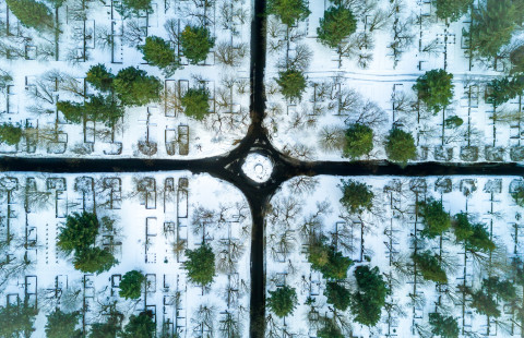 Lineaarisen analyysin moduulin abstrakti kuvituskuva. Photo by Willian Justen de Vasconcellos on Unsplash.