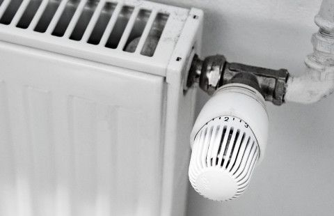 Radiator and thermostat.