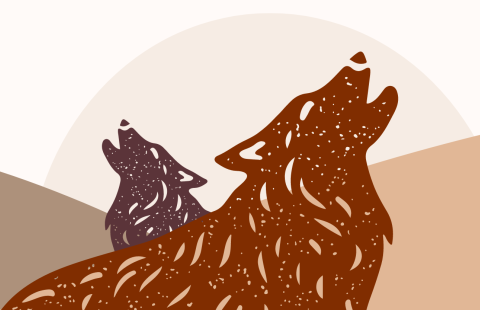 Grafiikka kahdesta ulvovasta sudesta.