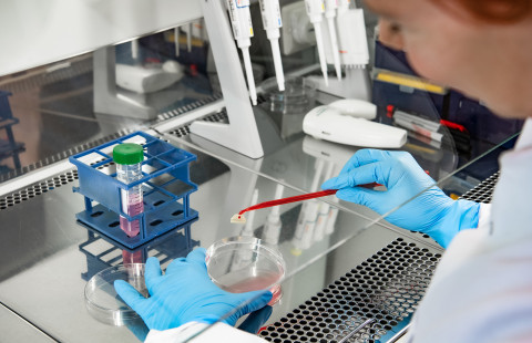 Stem cell lab.