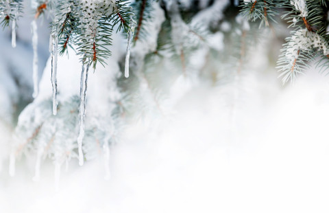 Talvi. Kuva MostPhotos.