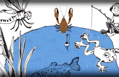 Piirros, jossa rapu, muita eläimiä ja onkija.